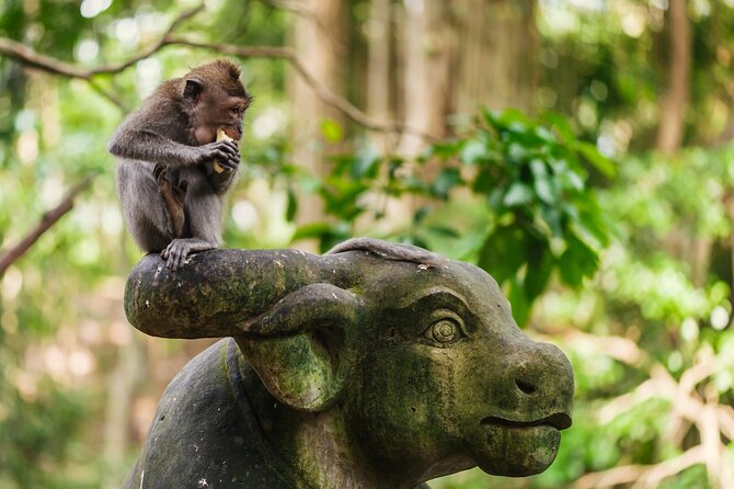 Ubud: Monkey Forest, Rice Terraces & Sacred Temples - What this Ubud day tour is really like