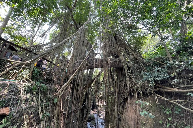 Ubud Monkey Forest Sanctuary Entrance Ticket All Inclusive - How much time you really need