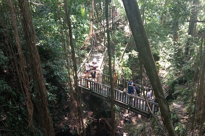 Ubud Monkey Forest Sanctuary Entrance Ticket All Inclusive - Pickup, group size, and the $36.67 price