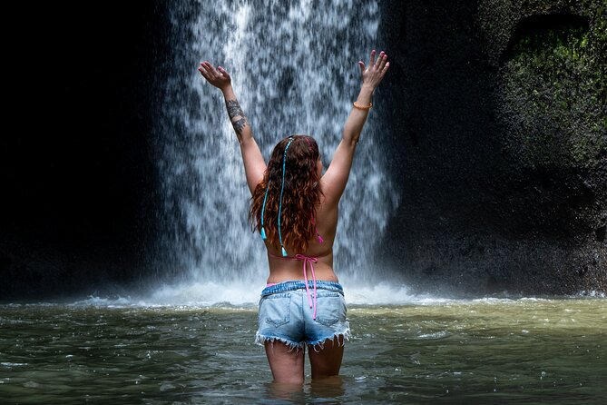 Ubud Monkey Forest, Scenic Rice Terrace with Swing and Waterfall - Key points to know before you book