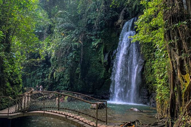 Ubud Private Chasing Waterfall and Water Temple Tour - Key points to know before booking