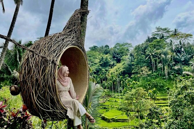 Ubud Private Chasing Waterfall and Water Temple Tour - Tegalalang Rice Terrace: ending with Bali’s classic view