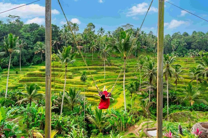 Ubud Private Chasing Waterfall and Water Temple Tour - What the $57.77 price really covers