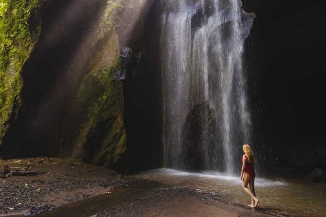 Ubud: Private Customized Highlights Tour - A private Ubud day built around your interests