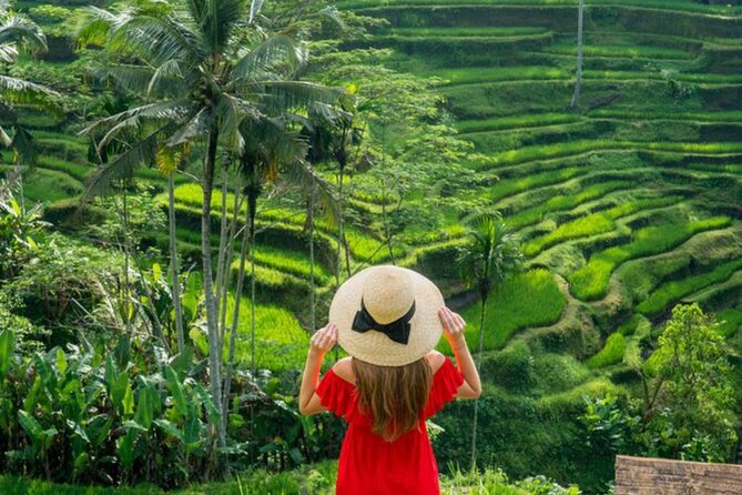 Ubud: Private Customized Highlights Tour - Tirta Empul and Bali’s water temples