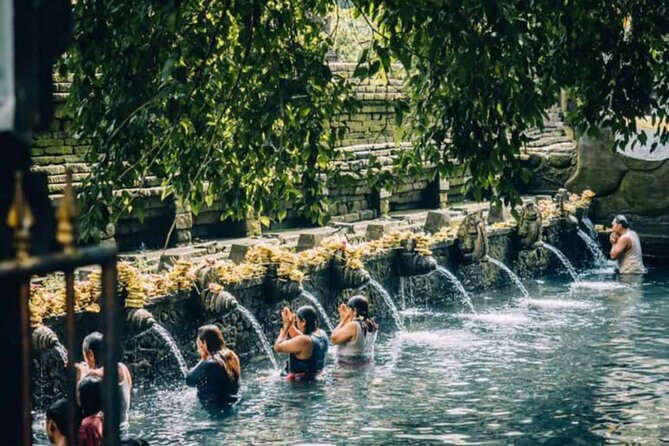 Ubud: Private Customized Highlights Tour - Tegalalang Rice Terrace and traditional farming