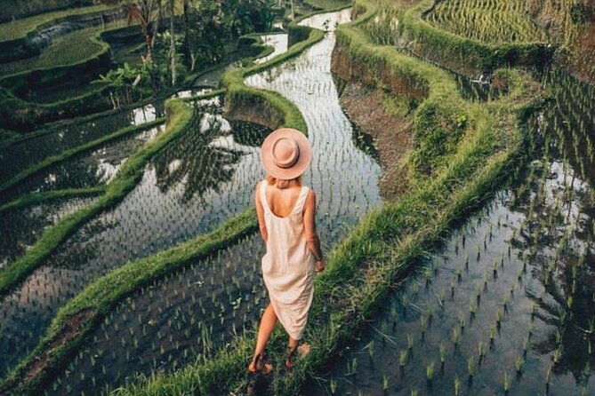 Ubud: Private Customized Highlights Tour - The Monkey Forest, Elephant Cave, and Mount Kawi