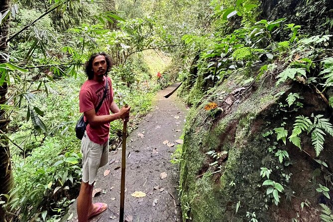 Ubud: Private Customized Highlights Tour - How to choose five stops without wasting the day