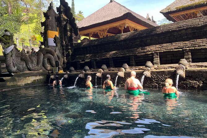 Ubud Private Nature and Temple Tour - Tegalalang: rice terraces shaped by Subak