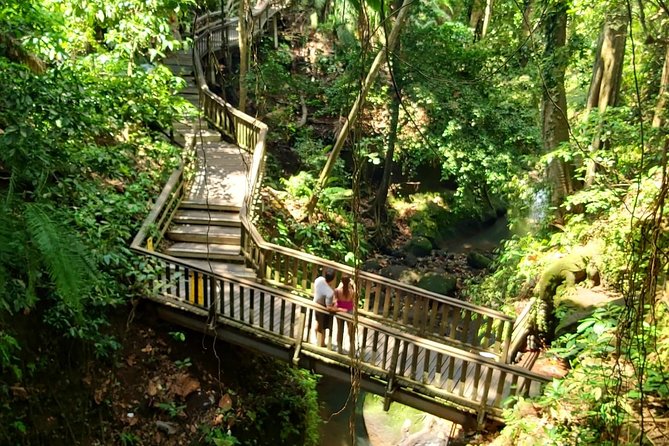 Ubud Private Tour : Best Of Ubud - Guided Tour - Seeing the Subak system at Tegalalang