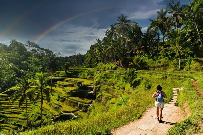 Ubud Private Tour: Monkey Forest - Tirta Empul Temple - Tegenungan Waterfall, the day’s nature break