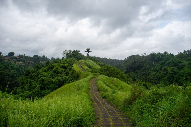 Ubud Private Tour: Monkey Forest - Tirta Empul Temple - Gianyar Night Market, the strongest food stop