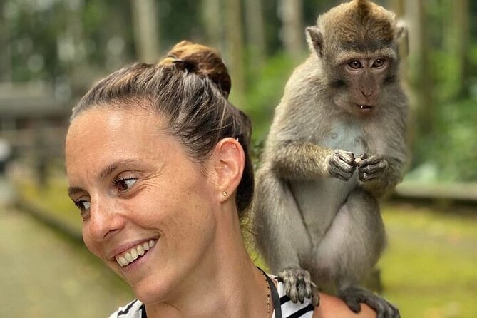 UBUD Private Tour – Rice Terrace, Jungle Swing & Hidden Waterfall - Tirta Empul or Monkey Forest: choose the kind of culture you want