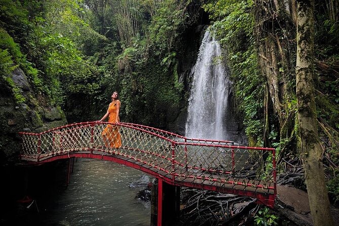 UBUD Private Tour – Rice Terrace, Jungle Swing & Hidden Waterfall - A private car changes the feel of the day