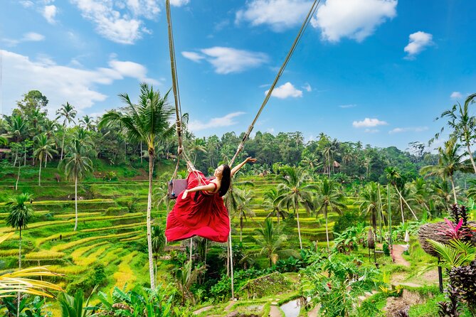 Ubud Private Tour: Waterfalls, Temple and Rice Terraces Swing - Key points to know before booking