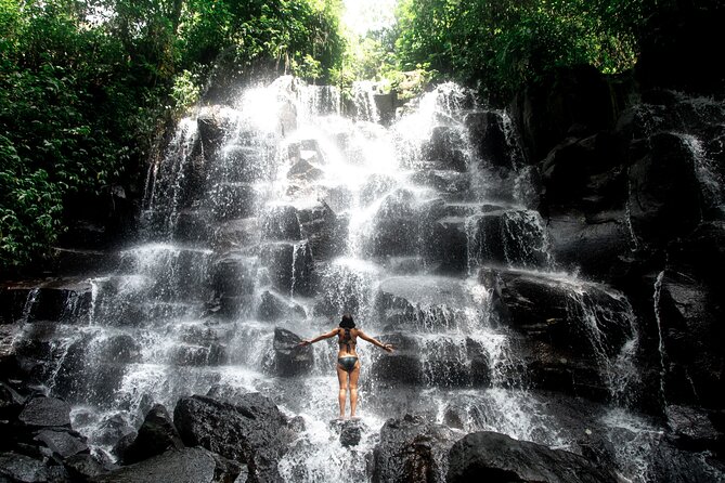 Ubud Private Tour: Waterfalls, Temple and Rice Terraces Swing - How much value does the $24.82 price offer?