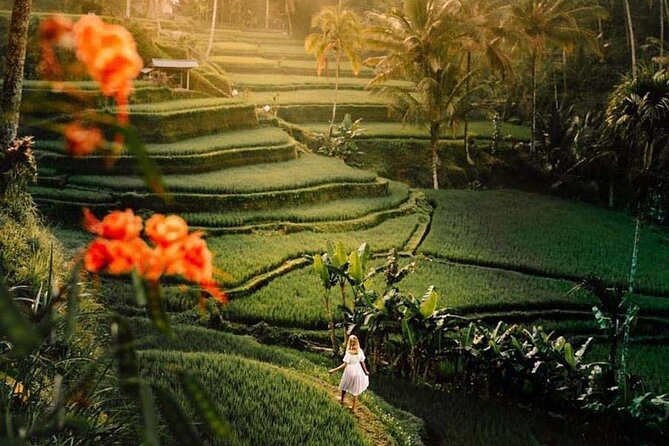 Ubud Private Tour - Waterfalls, Water Temple & Rice Terraces - What the $35 price really covers