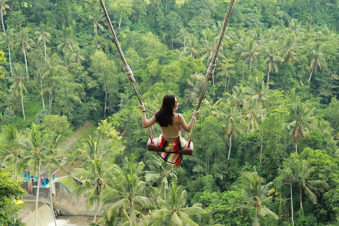Ubud Private Tours with Jungle Swing Experience - all inclusive - A full day built around Bali’s best photo stops