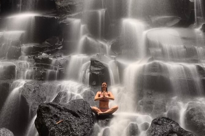 Ubud : Rice Terrace, water Temple and Waterfalls Private tour - A private route through Ubud’s countryside
