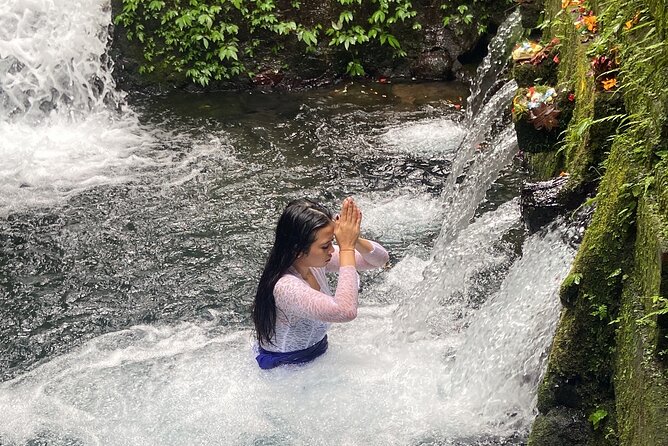 Ubud Shamanic Healing and Purification Ceremony - Transport from Ubud and the value of $50