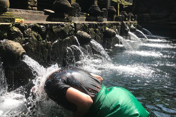 Ubud Sightseeing, Holy Water Temple & Waterfall - What the private format really adds