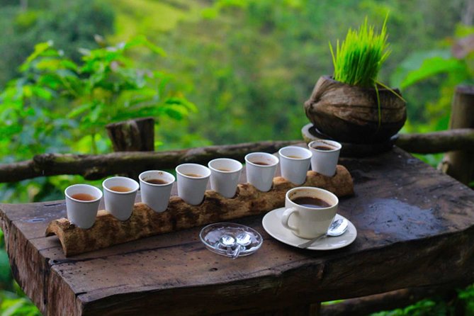 Ubud Sightseeing, Holy Water Temple & Waterfall - Timing, comfort, and who should book