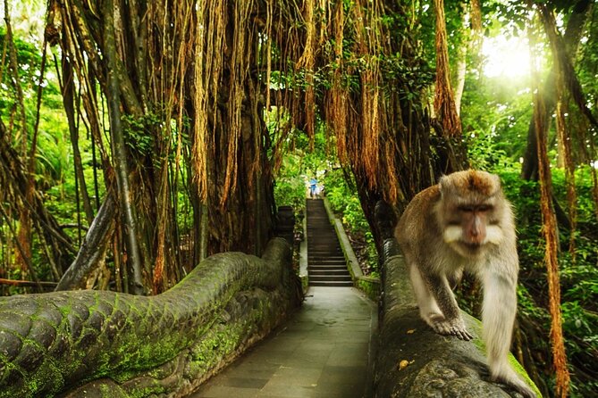 Ubud Skip the line Monkey Forest Sanctuary Ticket and Guided Tour - Key points at a glance