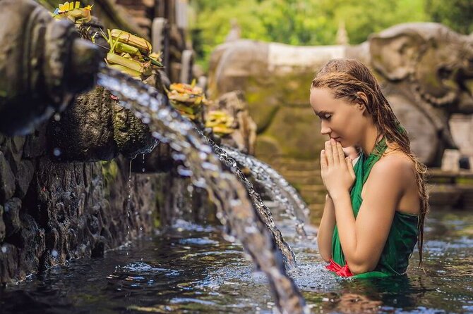 UBUD Spring Temple, Waterfall, Rice Terraces Private Tour - Four sides of Ubud in one private day