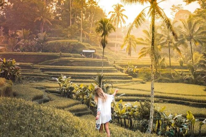 UBUD Spring Temple, Waterfall, Rice Terraces Private Tour - Ulu Petanu Waterfall, a quieter 30-minute stop
