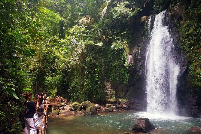 UBUD Spring Temple, Waterfall, Rice Terraces Private Tour - The Sacred Monkey Forest, 45 minutes among the trees