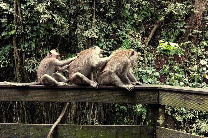 Ubud Surounding Tour - Who will enjoy this route most