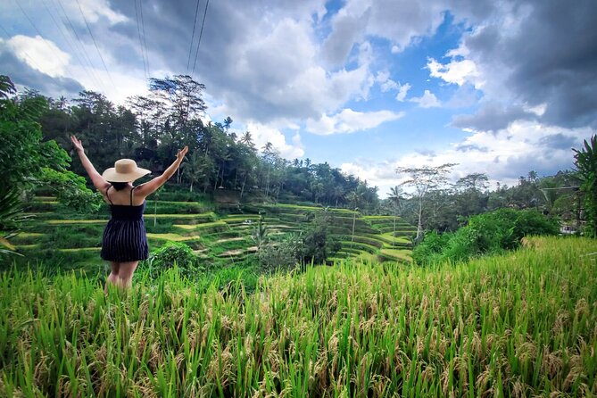 UBUD : Temple and Waterfall All Inclusive Day Tour - Semar Kuning Artist Cooperative and Ubud’s art villages
