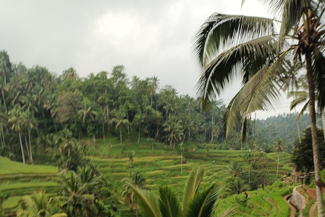 UBUD : Temple and Waterfall All Inclusive Day Tour - How Tiiko shapes the day