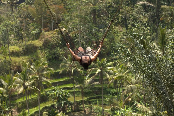 Ubud Top Attractions: Waterfalls, Temples and Rice Terraces - Tegalalang Rice Terrace: a short walk into working farmland