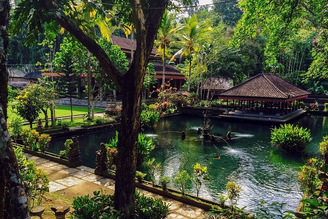 Ubud Top Attractions: Waterfalls, Temples and Rice Terraces - D’Alas Warung: lunch with a view