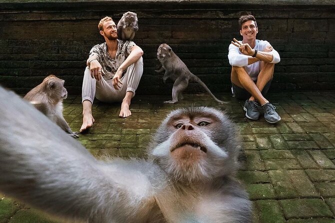 Ubud Tour-All Inclusive with Jungle Swing And Lunch - Celuk Village and Bali’s working crafts
