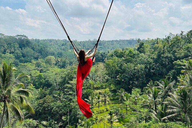 Ubud Tour-All Inclusive with Jungle Swing And Lunch - Tegenungan Waterfall and the short walk down