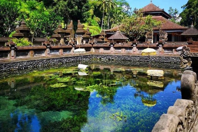 Ubud Tour : Best of Ubud with All inclusive - What your private driver adds
