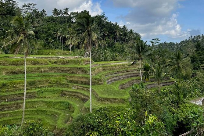 Ubud Tour - Highlight of Ubud - Traditional Tour - Tegenungan Waterfall adds a natural break