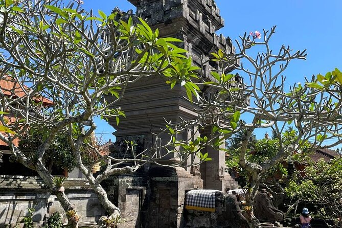 Ubud Tour - Highlight of Ubud - Traditional Tour - How to prepare for a long day on the road