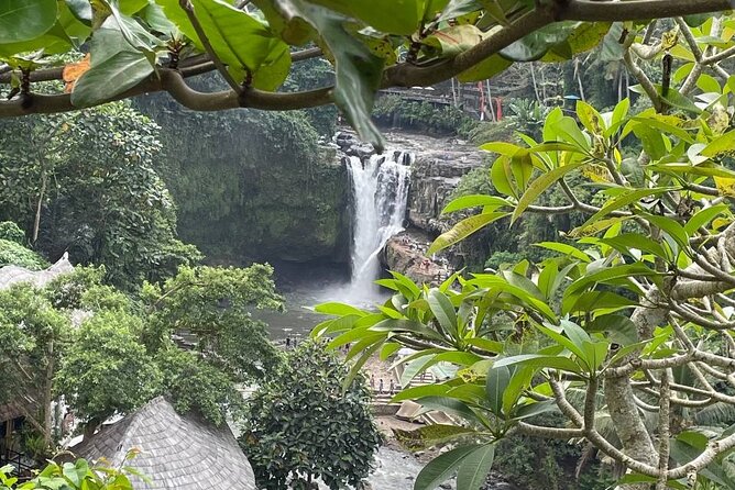 Ubud Tour - Highlight of Ubud - Traditional Tour - Monkey Forest brings wildlife and culture together