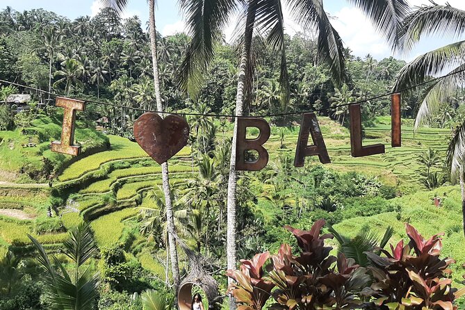 Ubud Tour - Highlights of Ubud - Tegalalang Rice Terrace is the main photo stop