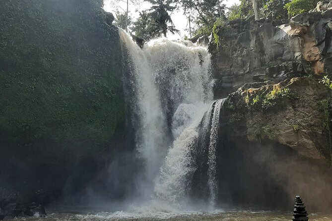 Ubud Tour - Highlights of Ubud - Monkey Forest closes the day with wildlife and shade