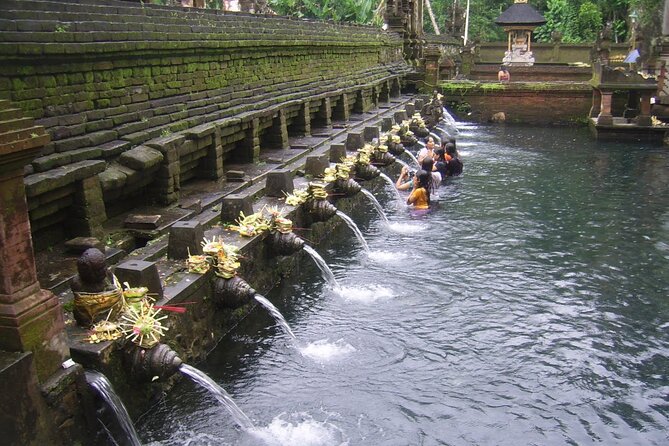 Ubud Tour : Monkey forest, Rice terrace, Water temple, Waterfall & Jungle Swing - Starting with nearly 1,000 macaques
