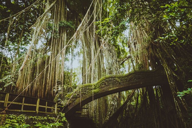 Ubud Tour Waterfall Rice Terrace Temple and Art Village - Tegalalang Rice Terrace and the Subak system