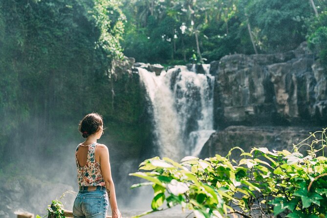 Ubud Tour Waterfall Rice Terrace Temple and Art Village - What your guide adds to the day