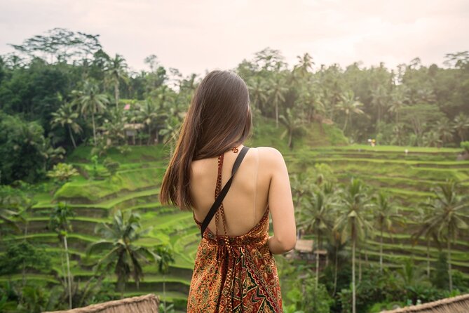 Ubud Tour Waterfall Rice Terrace Temple and Art Village - Private transport and the real time cost