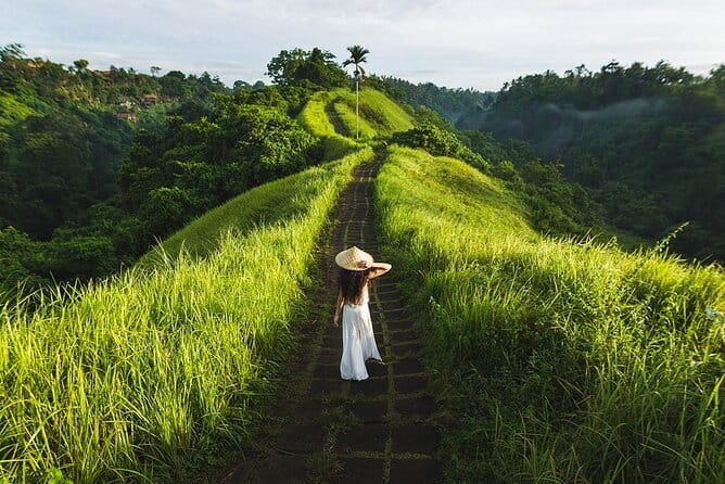 Ubud Tour with all includes - Tegalalang rice terraces and the swing question