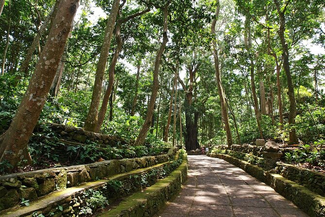 Ubud Tour With Monkey Forest, Rice Terrace, Waterfall, Temple - Sacred Monkey Forest: temples beneath the trees