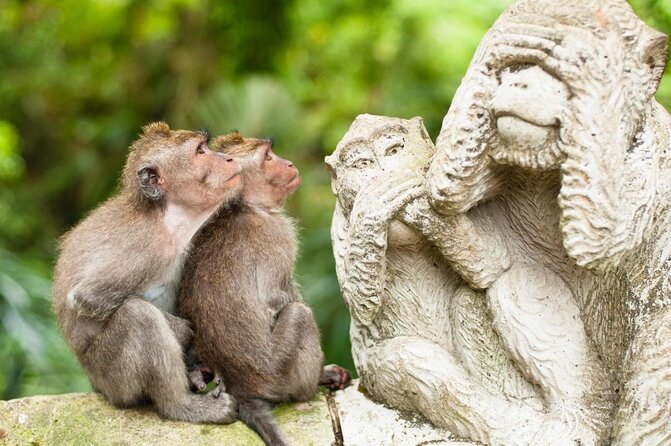 Ubud Tour with Swing, Temple, Monkey Forest, and Waterfall - Key points at a glance